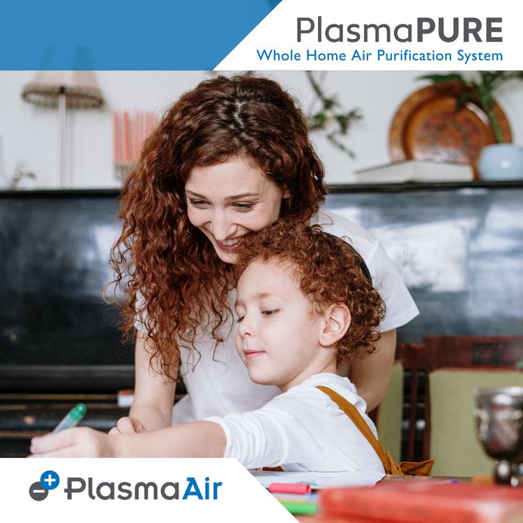 Plasma Air 600 Whole Home Air Purifier